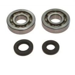 KIT ROULEMENTS VILEBREQUIN ALL BALLS 24-1047