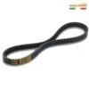 COURROIE TRANSMISSION MOTO MALOSSI 6116422 1 COURROIE TRANSMISSION MOTO MALOSSI 6116422 -Magasin D'Accessoires Moto malossi 6116422 719819 01